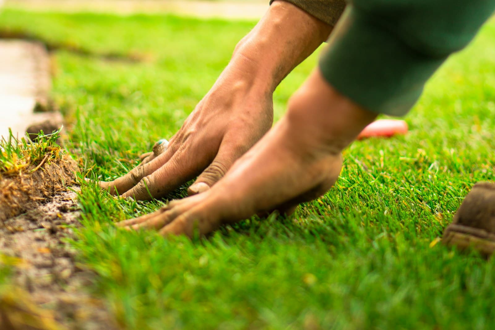 Hands pressing fresh sod into a lawn